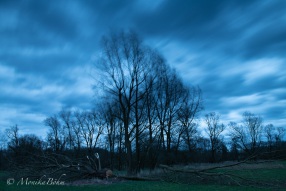 Sturm im Februar