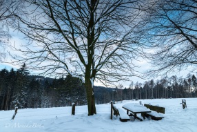 ein schöner Wintertag