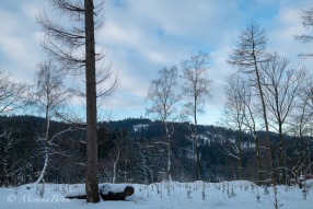 Wintertag