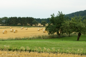 Heuernte