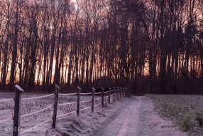am Wintermorgen