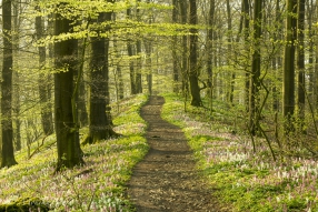 Weg durchs Märchenland