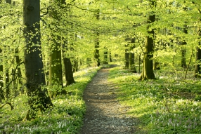 Frühlingsmeer