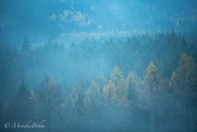 Spätherbst im Teutoburger Wald