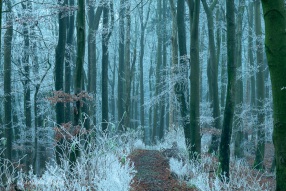 Winterwunderland