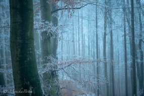 Wintermärchen