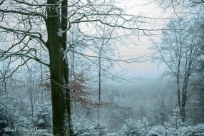 zauberhafte Aussichten