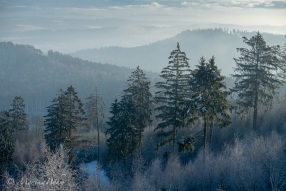 Träumen