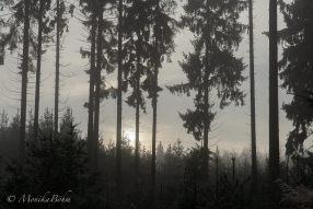 Augenblicke der Stille