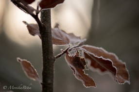 erste Herbstimpressionen