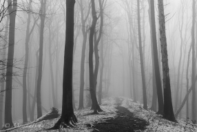 Nebelweg